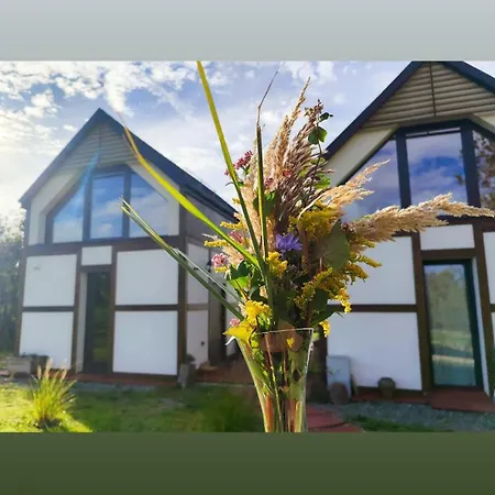 Apartament Pod Aniołem 2